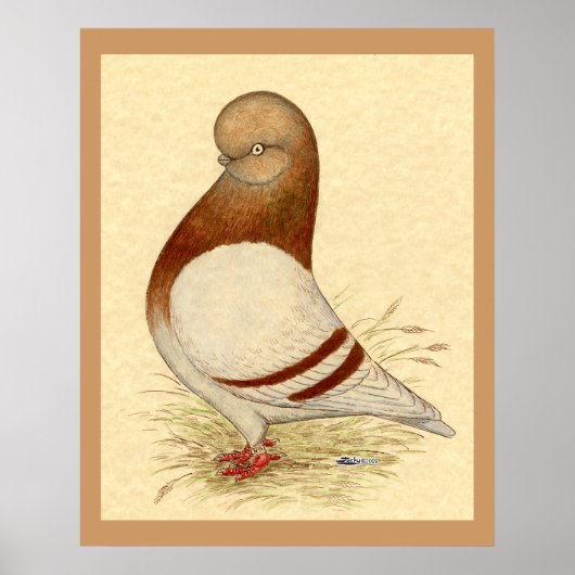 Tumbler-Taube: LFCL Mealy Poster (Vorne)