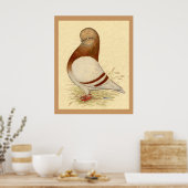 Tumbler-Taube: LFCL Mealy Poster (Küche)