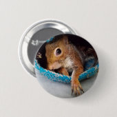 Tumbleweed in seinem Nest Button (Vorne & Hinten)