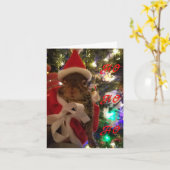 Tumbleweed Weihnachtskarte Karte (Gelbe Blume)