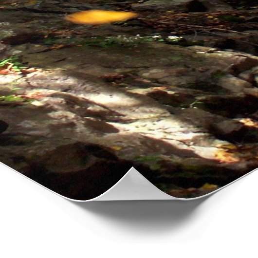 Tumbling Blätter Poster (Ecke)