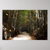 Tumbling Blätter Poster (Vorne)