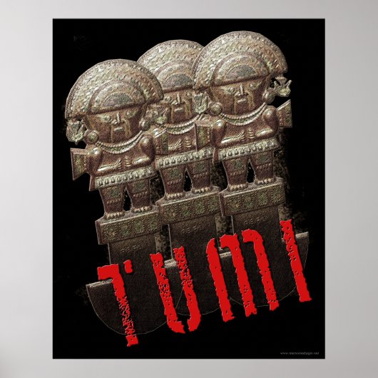 TUMI Poster (Vorne)
