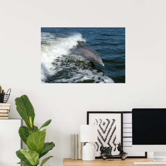 Tümmler-Foto Poster (Heimbüro)