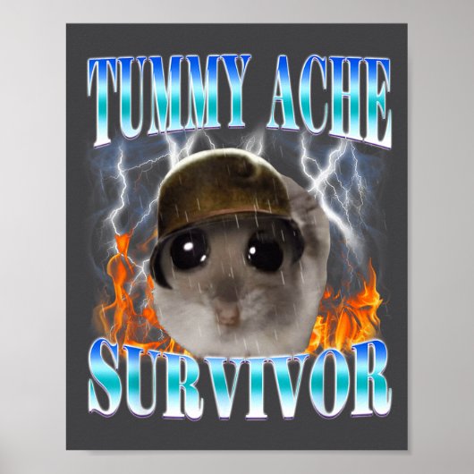 Tummy Ache Survivor Hamster Meme Funny Saying Hams Poster (Vorne)