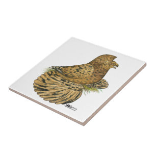 Tumpeter Pigeon Almond Fliese