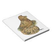 Tumpeter Pigeon Almond Notizblock (angewinkelt)