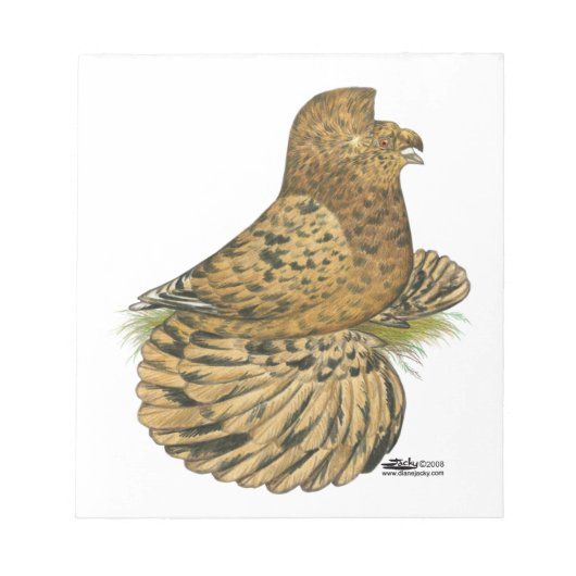 Tumpeter Pigeon Almond Notizblock (Vorderseite)