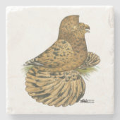 Tumpeter Pigeon Almond Steinuntersetzer (Vorderseite)