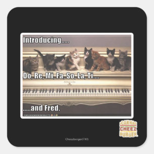 , Tun Re, MI, Fa so La, Ti, Fred Quadratischer Aufkleber