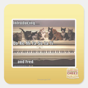 , Tun Re, MI, Fa so La, Ti, Fred Quadratischer Aufkleber