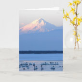 Tundra-Schwäne und Berg Shasta Karte (Gelbe Blume)