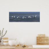 Tundra Swan Icy Takeoff Poster (Küche)