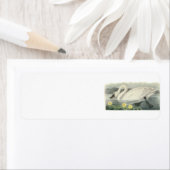 Tundra Swan von Audubon (Insitu)