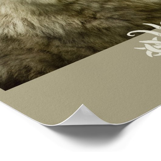 Tundra Wolf 11x17 Poster (Ecke)