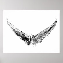 Tunes Schwanz Impression Art