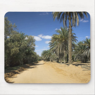 Tunesien, Ksour-Gebiet, Ksar Ghilane, Dattelpalme Mousepad