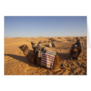 Tunesien, Ksour-Gebiet, Ksar Ghilane, Grand Erg 3