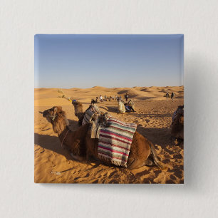 Tunesien, Ksour-Gebiet, Ksar Ghilane, Grand Erg 3 Button