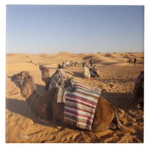 Tunesien, Ksour-Gebiet, Ksar Ghilane, Grand Erg 3 Fliese