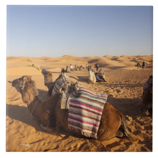 Tunesien, Ksour-Gebiet, Ksar Ghilane, Grand Erg 3 Fliese (Vorderseite)
