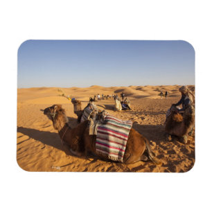 Tunesien, Ksour-Gebiet, Ksar Ghilane, Grand Erg 3 Magnet