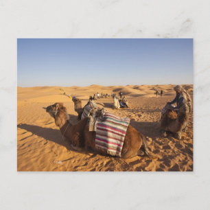 Tunesien, Ksour-Gebiet, Ksar Ghilane, Grand Erg 3 Postkarte