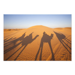 Tunesien, Ksour-Gebiet, Ksar Ghilane, Grand Erg 4 Fotodruck