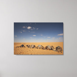 Tunesien, Ksour-Gebiet, Ksar Ghilane, Grand Erg 4 Leinwanddruck