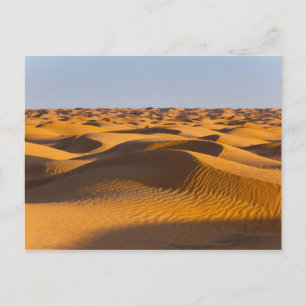 Tunesien, Ksour-Gebiet, Ksar Ghilane, Grand Erg 4 Postkarte