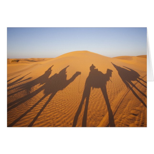 Tunesien, Ksour-Gebiet, Ksar Ghilane, Grand Erg 5 (Vorderseite (Horizontal))