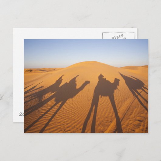 Tunesien, Ksour-Gebiet, Ksar Ghilane, Grand Erg 5 Postkarte (Vorne/Hinten)