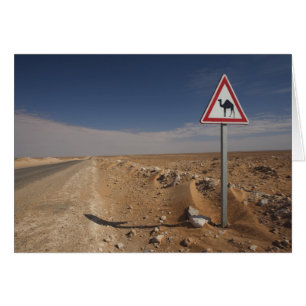 Tunesien, Ksour-Gebiet, Ksar Ghilane, Öl-Pipeline