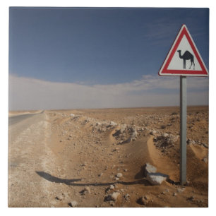 Tunesien, Ksour-Gebiet, Ksar Ghilane, Öl-Pipeline Fliese