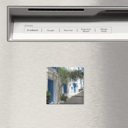 Tunesien Magnet (In Situ (Geschirrspüler))