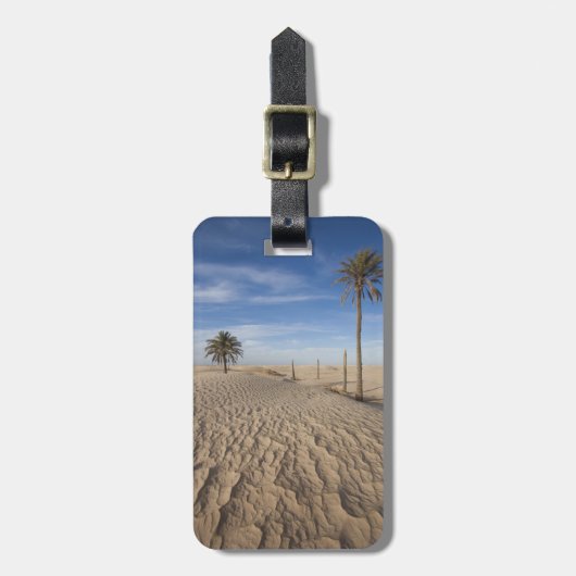 Tunesien, Sahara-Wüste, Douz, Great Dune, Morgengr Gepäckanhänger (Vorderseite vertikal)