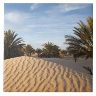 Tunesien, Sahara-Wüste, Douz, Great Dune, Palme 2 Fliese