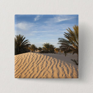 Tunesien, Sahara-Wüste, Douz, Große Düne, Palme 2 Button