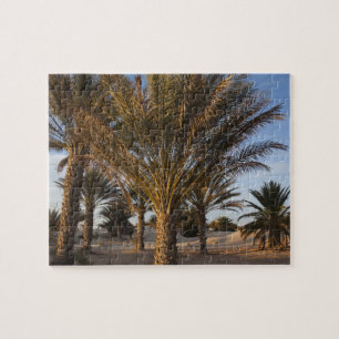 Tunesien, Sahara-Wüste, Douz, Große Düne, Palme Puzzle