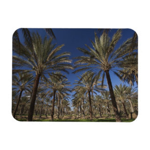 Tunesien, Sahara Wüste, Douz, Zone Touristique, 2 Magnet