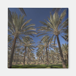 Tunesien, Sahara Wüste, Douz, Zone Touristique, 2 Magnet