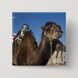 Tunesien, Sahara-Wüste, Douz, Zone Touristique, Button