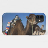 Tunesien, Sahara Wüste, Douz, Zone Touristique, Case-Mate iPhone Hülle (Rückseite (Horizontal))