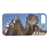 Tunesien, Sahara Wüste, Douz, Zone Touristique, Case-Mate iPhone Hülle (Rückseite (Horizontal))