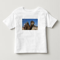 Tunesien, Sahara-Wüste, Douz, Zone Touristique,