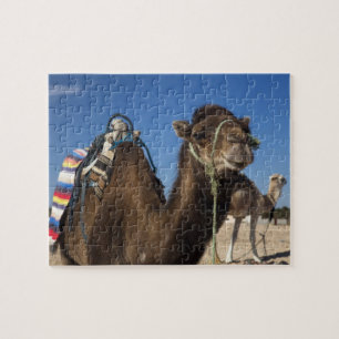 Tunesien, Sahara-Wüste, Douz, Zone Touristique, Puzzle