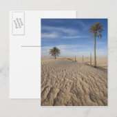 Tunesien, Wüste Sahara, Douz, großer Düne, Morgeng Postkarte (Vorne/Hinten)