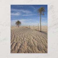 Tunesien, Wüste Sahara, Douz, großer Düne, Morgeng