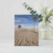 Tunesien, Wüste Sahara, Douz, großer Düne, Morgeng Postkarte (Stehend Vorderseite)