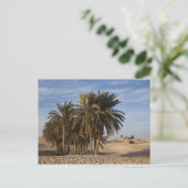 Tunesien, Wüste Sahara, Douz, großer Düne, Palme Postkarte (Stehend Vorderseite)